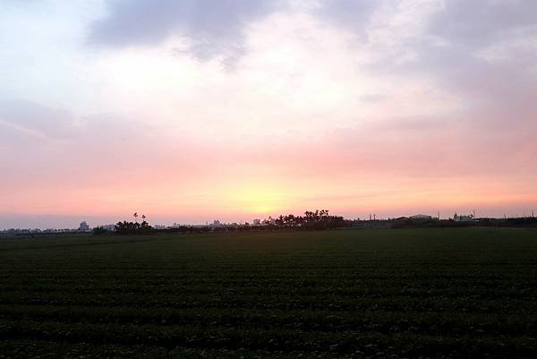 10月29日農區田野夕陽之美-15.JPG