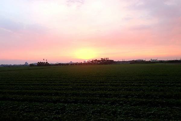 10月29日農區田野夕陽之美-14.JPG