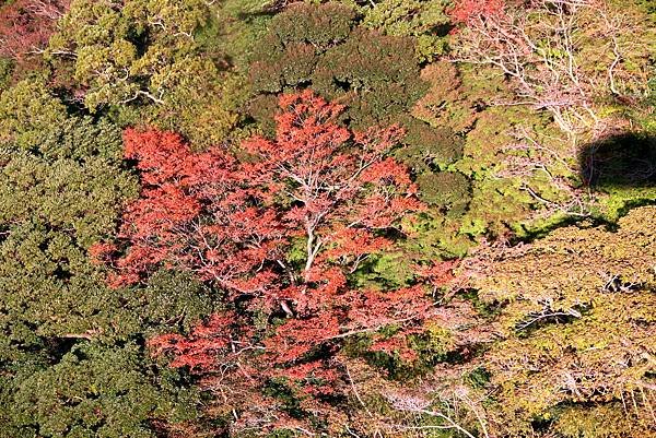 久能山東照寺-1-1.JPG