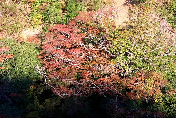 久能山東照寺-37.JPG