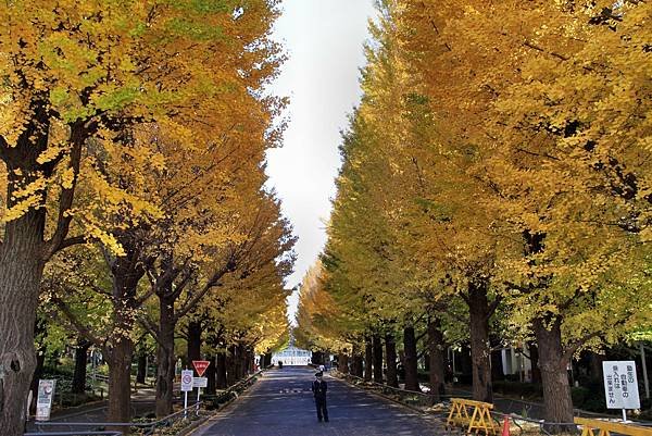 慶應大學校園之美-29.JPG