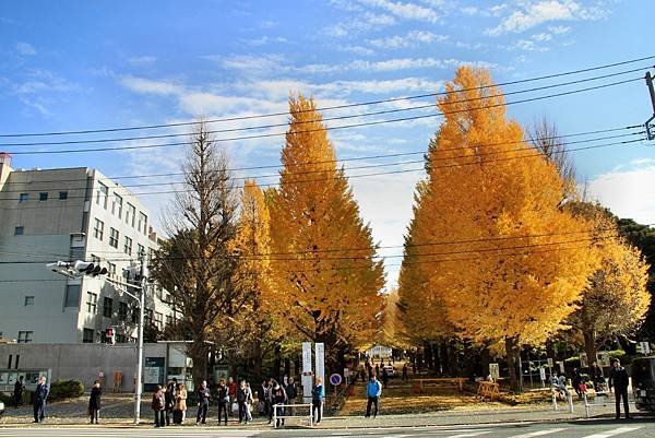 慶應大學校園之美-37.JPG