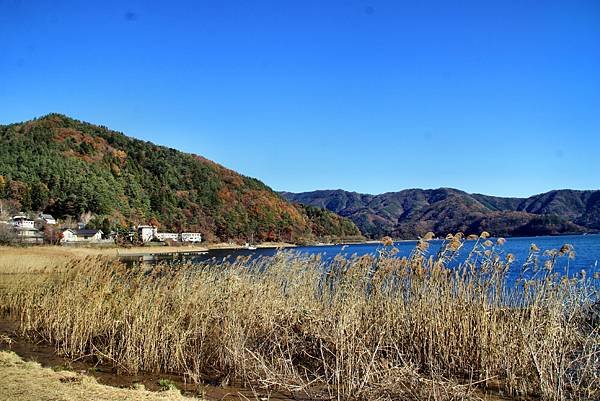 河口湖眺望富士山-2.JPG