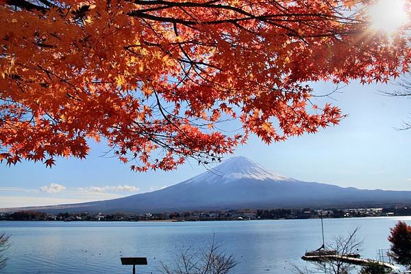 河口湖眺望富士山-16.JPG