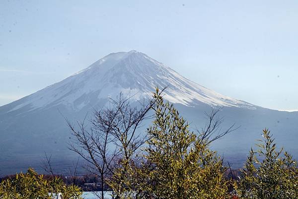 河口湖眺望富士山-17.JPG