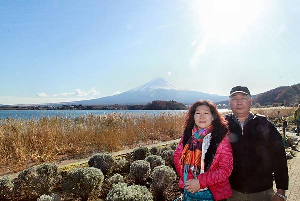 河口湖眺望富士山-22.JPG