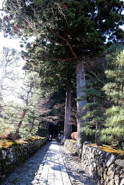 長野縣光前寺-13.JPG