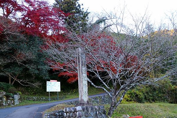 要仲山玉龍禪寺賞楓.JPG