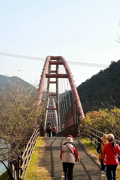 夢的架橋-2.JPG