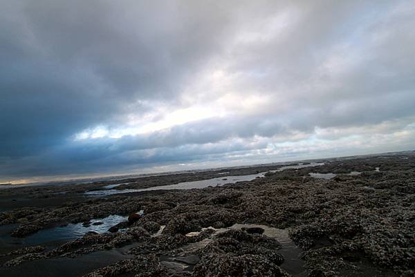 永安海邊春海-13.JPG