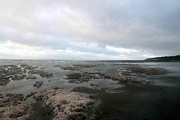 永安海邊春海-12.JPG