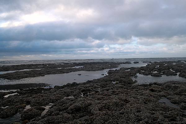 永安海邊春海-15.JPG