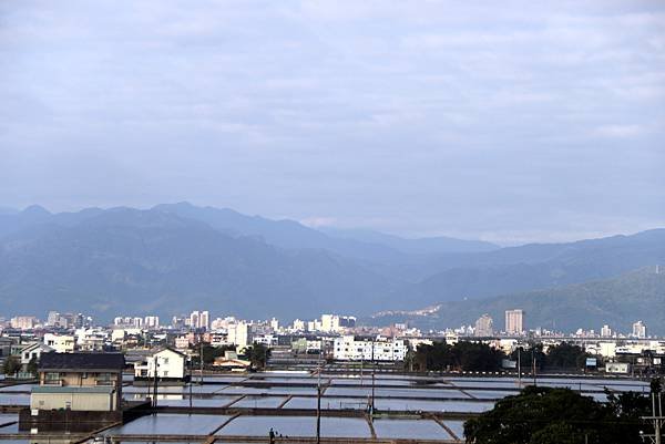 環島進香花絮.JPG