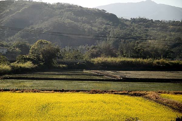 環島進香花絮-17.JPG