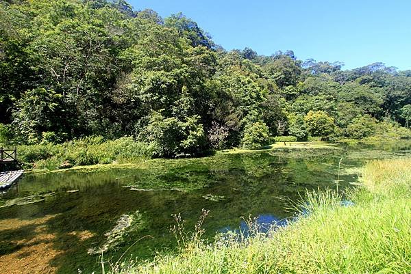 福山植物園之旅-8.JPG