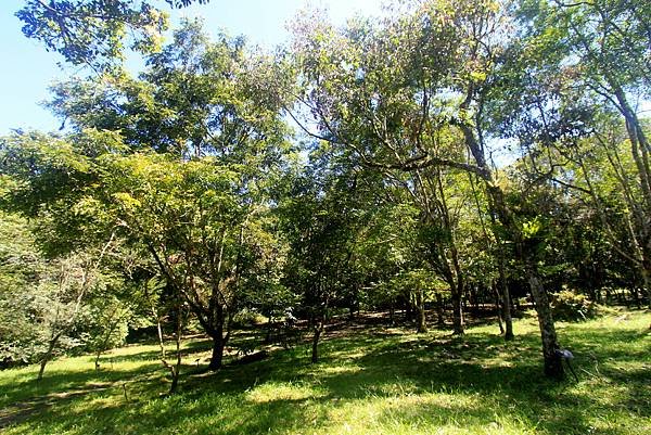 福山植物園之旅-25.JPG