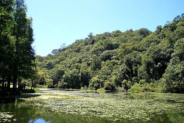 福山植物園之旅-49.JPG