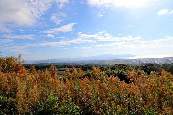 賞楓之旅花絮-20.JPG