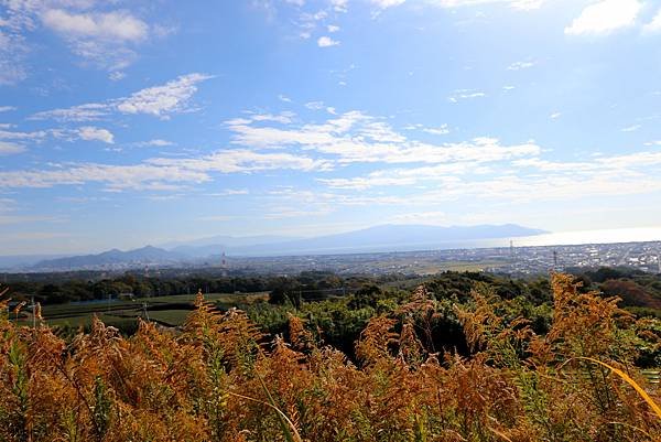 賞楓之旅花絮-21.JPG