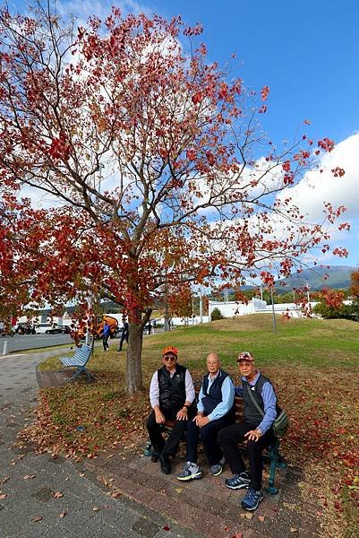 賞楓之旅花絮-40.JPG