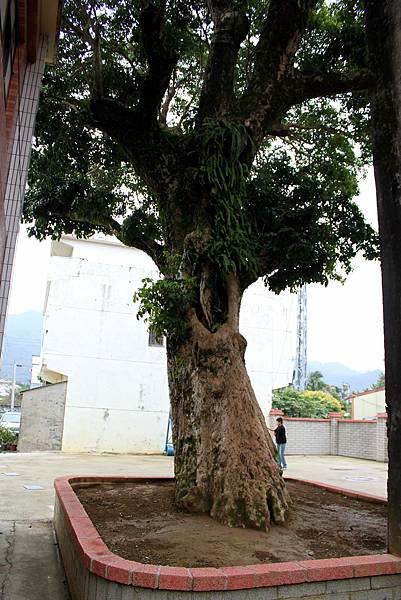 大溪三層福安宮-24.jpg