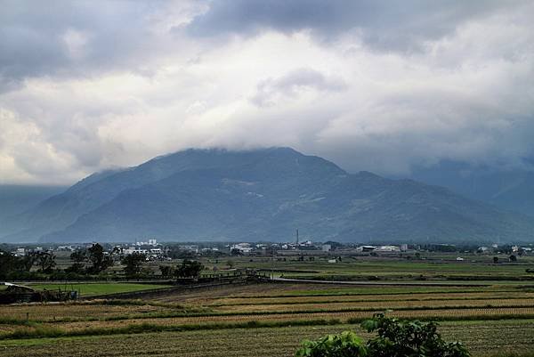 池上伯朗大道-1.JPG