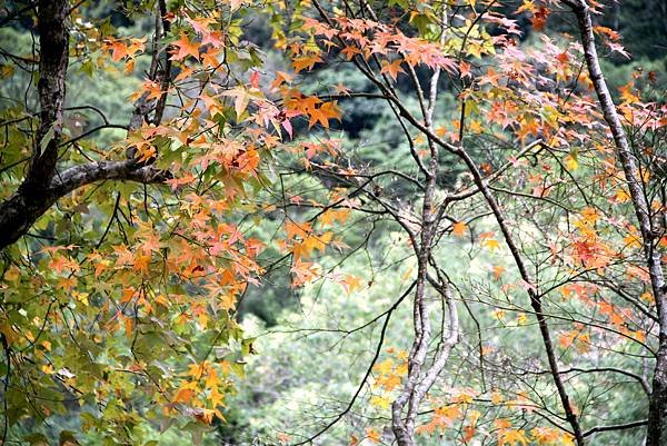 太魯閣國家公園遊客中心-9.JPG