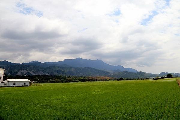 鹿野二層坪水橋-3.JPG