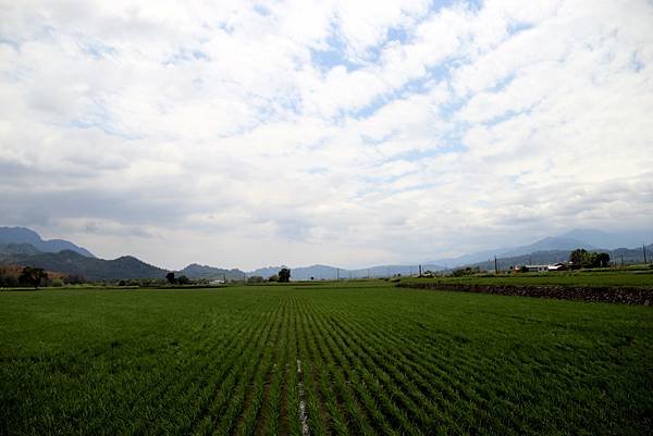 鹿野二層坪水橋-10.JPG