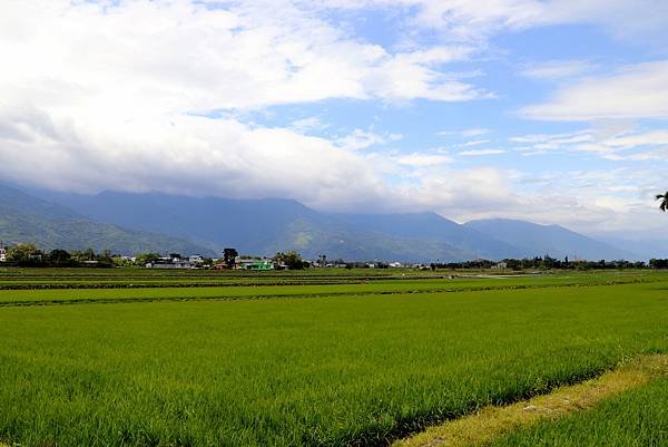 鹿野二層坪水橋-32.JPG