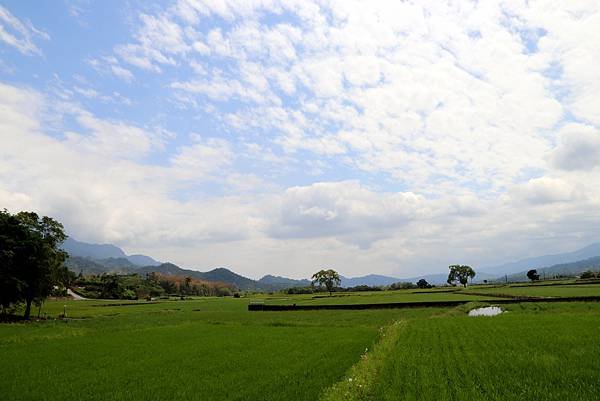 鹿野二層坪水橋-34.JPG