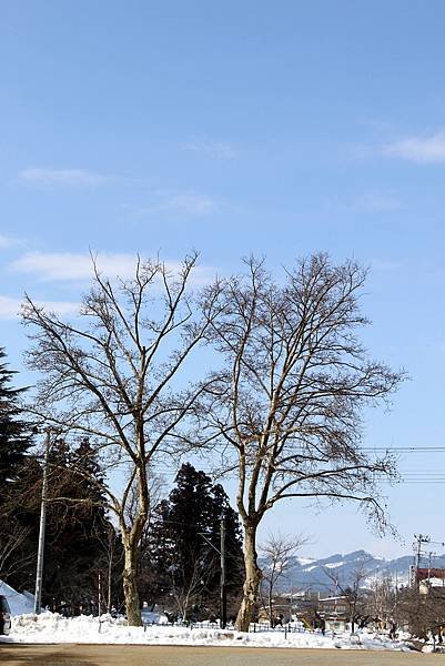 上杉神社-22.jpg