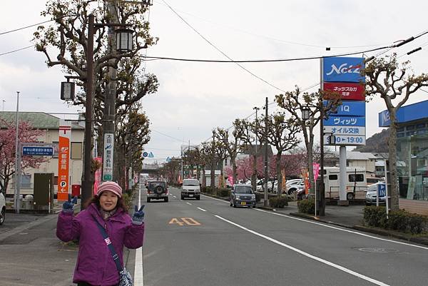 伊豆半島河津町賞櫻-39.jpg