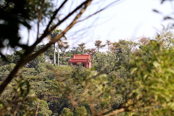 五酒桶山健行-18-1.JPG