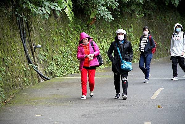 太魯閣國家公園清水斷崖-30.JPG