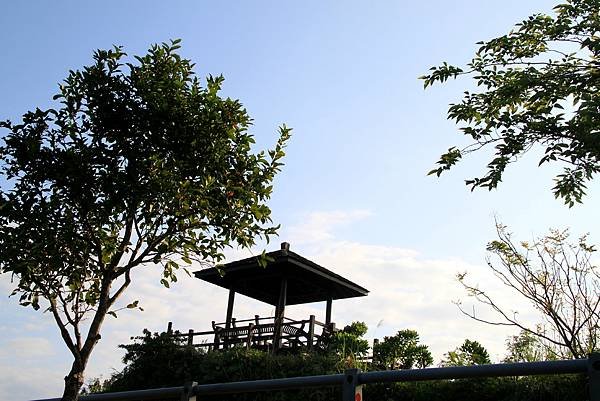 花蓮蕃薯寮休息區之旅-5.JPG