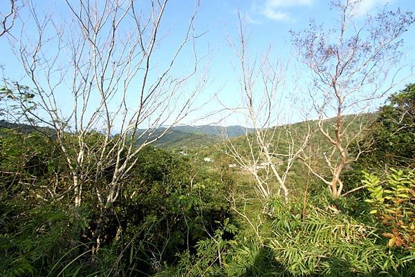 花蓮蕃薯寮休息區之旅-18.JPG