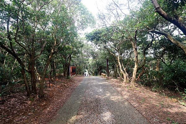 五酒桶山健行-4.JPG