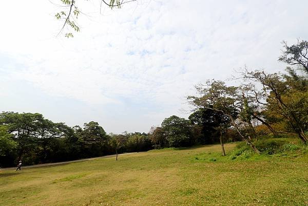 五酒桶山健行-23.JPG