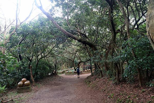 五酒桶山健行-40.JPG