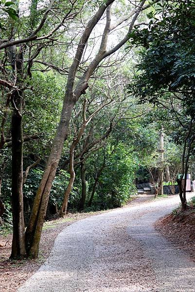 五酒桶山健行-44.JPG