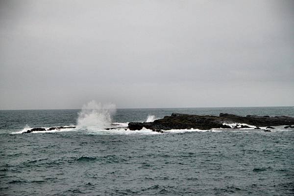 鼻頭角海岸之美-8.JPG