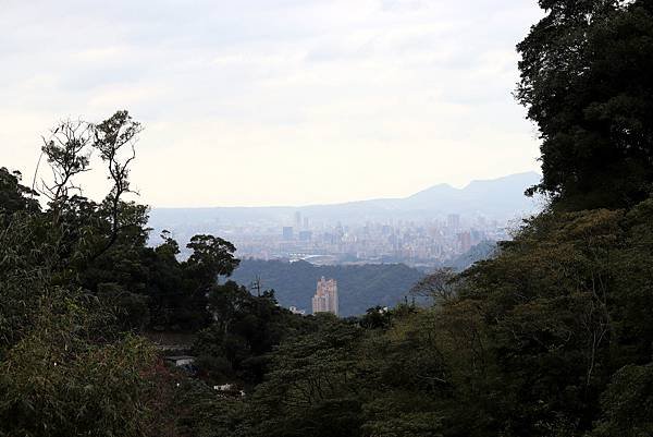 木柵貓空之旅-22.JPG