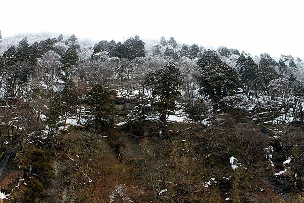 99年2月19日最上川之旅-36.jpg