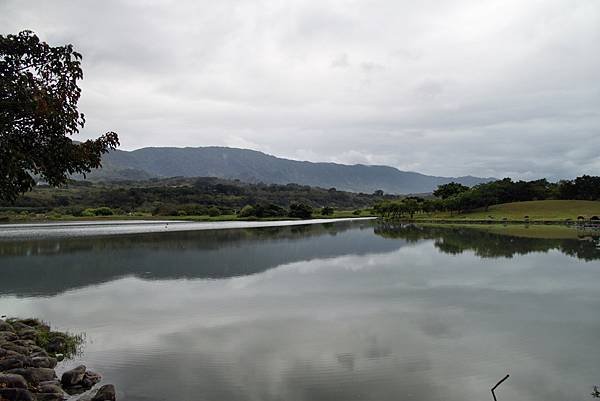 臺東大坡池-1.JPG