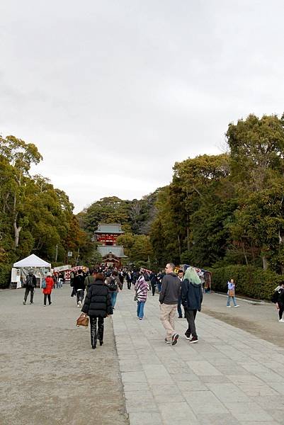 鶴岡八幡宮-9.JPG