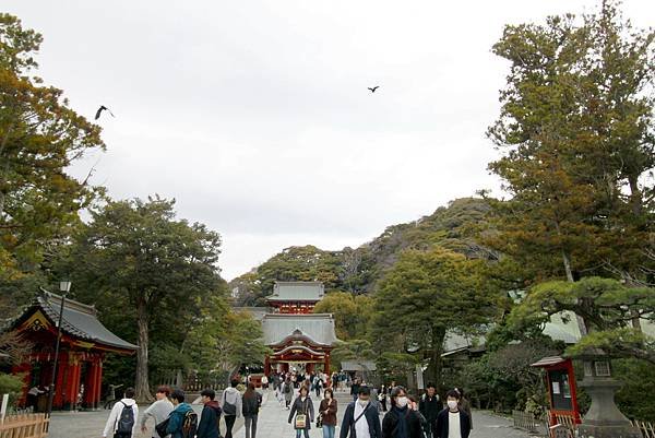 鶴岡八幡宮-33.JPG