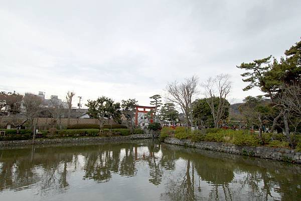 鶴岡八幡宮-36.JPG