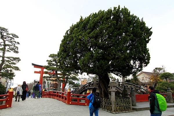 鶴岡八幡宮-39.JPG