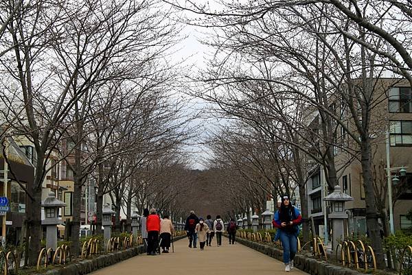 鶴岡八幡宮-47.JPG